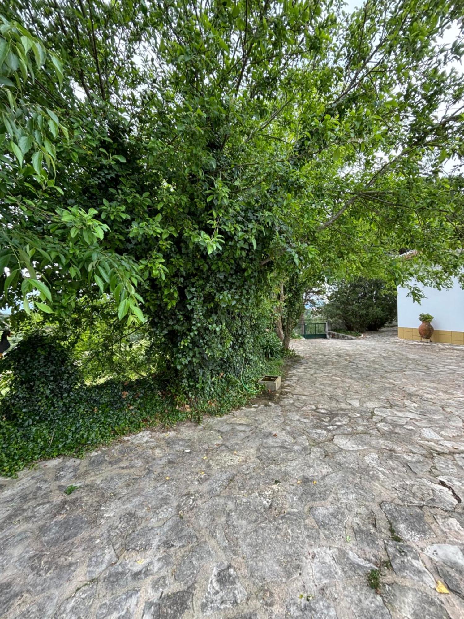 Villa Casa Da Nogueira Tomar Exterior foto